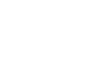 Erfan.png