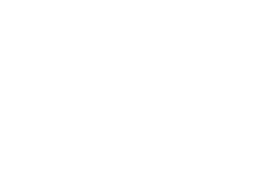 Exir.png