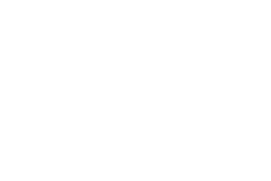 venus.png